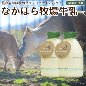 なかほら牧場牛乳〔500 ml〕2本セット【配送不可地域：離島】【1354886】