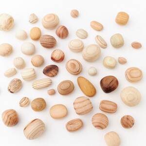 木のたまごコロロ:樹種ミックスset_雑貨 _