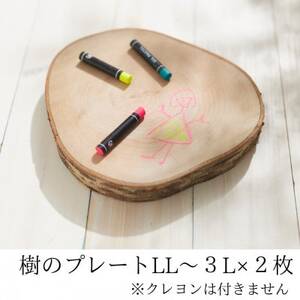 岩泉の森の樹のプレートLL〜3Lサイズ2枚set_雑貨・日用品 家具・インテリア _