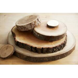 岩泉の森の樹のプレートお好みの10樹種set_雑貨 _