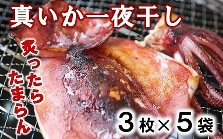 北三陸産 真イカの一夜干し 3枚入×5袋 いか一夜干し いか イカ焼き イカ飯 BBQ イカゲソ 