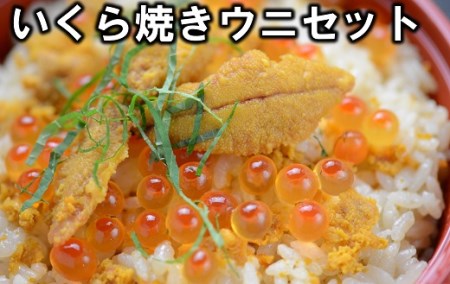 三陸のいくらと焼きウニセット( いくら醤油漬け アワビの貝に盛った焼ウニ 80g セット)