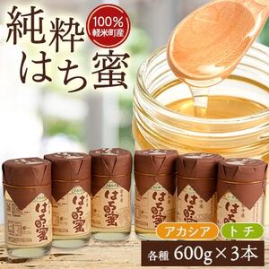 天然ハチミツ2種6個セット(アカシア600g×3個、トチ600g×3個)_はちみつはちみつはちみつはちみつはちみつ_