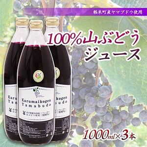【軽米町産ヤマブドウ使用】100%山ぶどうジュース　1000ml×3本_ぶどうぶどうジュースジュースジュース_【1101957】