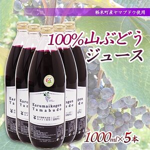 【軽米町産ヤマブドウ使用】100%山ぶどうジュース　1000ml×5本_ぶどうぶどうジュースジュースジュース_【1101958】