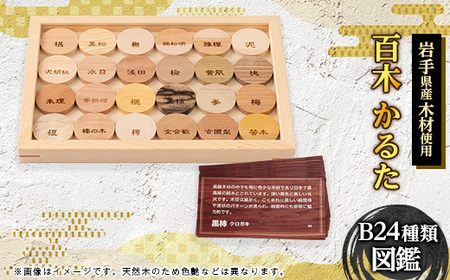 百木 かるた B24種類 (図鑑)[配送不可地域:離島・沖縄県]