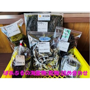 ぱあぷるの海産物(乾物)詰め合わせ