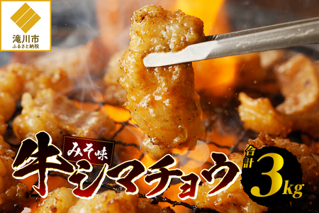  V}`E300g×10 kC ݂ X ē z Z BBQ Zbg