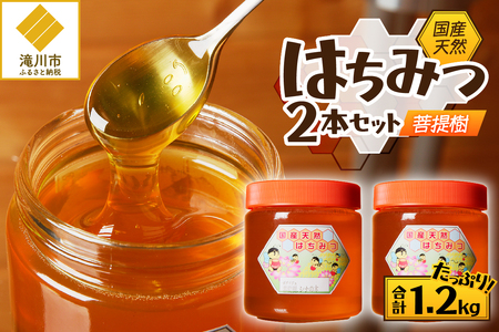 2025年新蜜【北海道滝川産】高見養蜂場の純粋はちみつ(菩提樹、シナの木600g×2本)