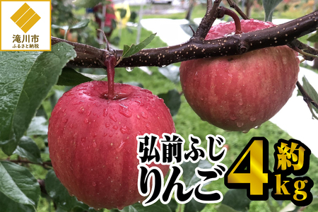 [令和7年出荷受付]弘前ふじりんご 約4kg|先行受付 数量限定 りんご 林檎 北海道 フルーツ