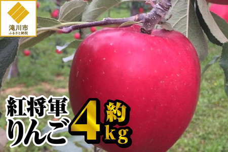 [令和7年出荷受付]紅将軍りんご 約4kg|先行受付 数量限定 りんご 林檎 フルーツ 果物 北海道
