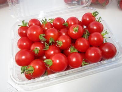 のあのらのミニトマト[赤]約1.1kg(栽培期間中農薬不使用)