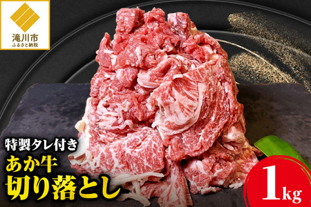 uv _a̐؂藎Ƃ(1L) Yʂ˂gp^t