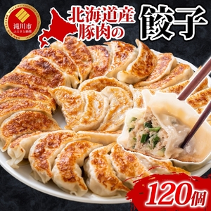 [大容量]北海道産豚肉のぎょうざ 120個!冷凍餃子 ギョーザ 国産 焼餃子 点心 滝川市 冷凍食品