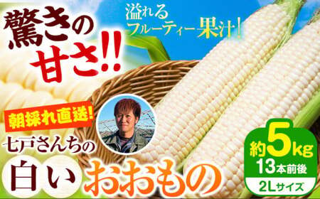 朝採れ直送! とうもろこし 白いおおもの 甘い 約5kg 13本入り 2Lサイズ 七戸宏大[7月下旬-8月下旬出荷]岩手県 九戸村 ホワイトコーン 白いとうもろこし おおもの 5kg スイートコーン