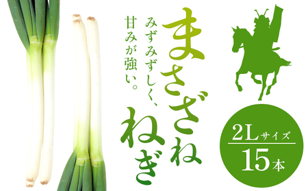 [2025年先行受付]まさざねねぎ 15本 2Lサイズ 七戸宏大[2025年9月中旬-12月上旬頃出荷]岩手県 九戸村 野菜 やさい ねぎ ネギ 葱 武将 送料無料