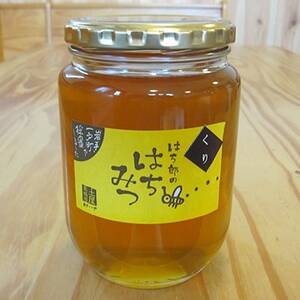 一戸町産はちみつ　はち郎のはちみつ850g(くり)【1088865】