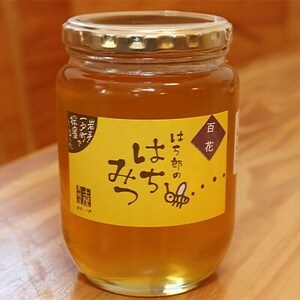 一戸町産はちみつ はち郎のはちみつ850g(百花)