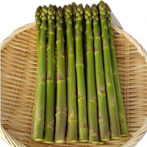いわて奥中山高原グリーンアスパラ　1kg(L～2L)【配送不可地域：離島】【1691796】