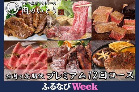 yӂȂWEEKΏہzA5N䋍    ̒12R[Xy  ɂ Hi lC  Mtg z FN-Limited