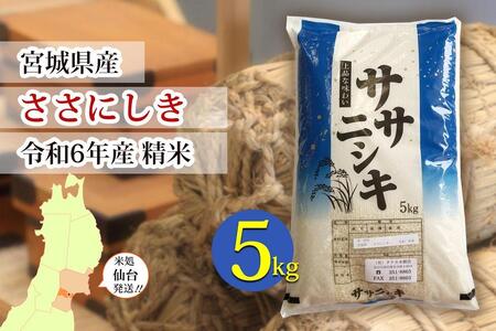 [宮城県産 ささにしき]令和6年度産 精米 5kg(5kg×1袋)