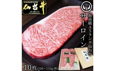 ōA5N䋍T[CXe[L 10y T[C Xe[L 䋍 z