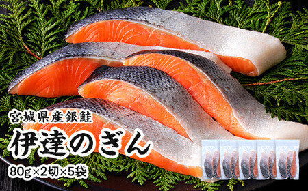 ɒB̋S≖Ђ 10ؓi2×5pbNj