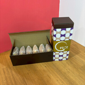 ACXEN[ǂĂ3 e2v6(QqE񂾁E)