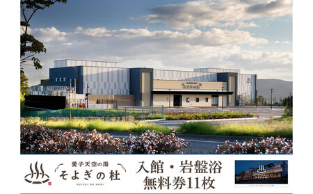 [ふるさと納税]愛子天空の湯 そよぎの杜 入館・岩盤浴無料券11枚 温泉 露天風呂 サウナ 日帰り 天然温泉 観光 旅行 旅 回数券 入浴券 仙台市
