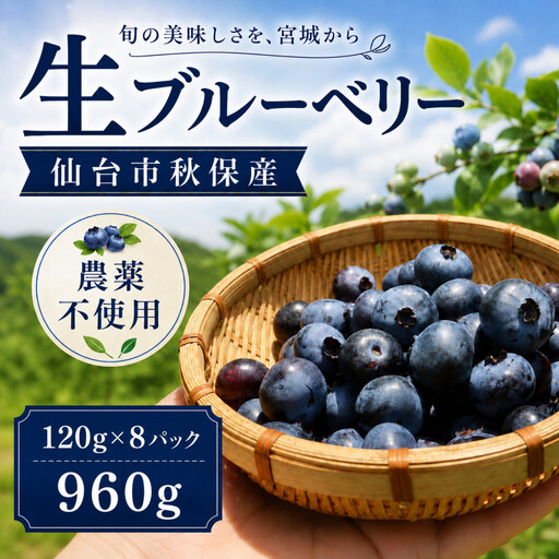 仙台市秋保産ブルーベリー (120gパックｘ8個　合計960g)