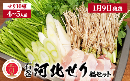 【1月9日発送】せり鍋 セット 4-5人前 せり 長ねぎ パックご飯 スープ 鶏肉 セリ セリ鍋 河北せり 野菜 鍋