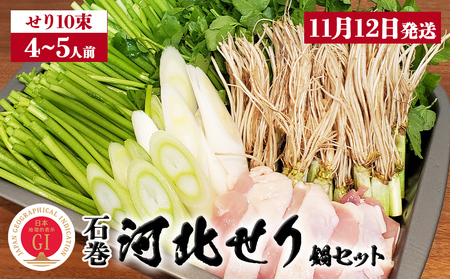 [11月12日発送]せり鍋 セット 4-5人前 せり 長ねぎ パックご飯 スープ 鶏肉 セリ セリ鍋 河北せり 野菜 鍋