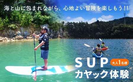 SUP ・ カヤック 体験 大人1名様分 体験ツアー 石巻市 雄勝湾 海