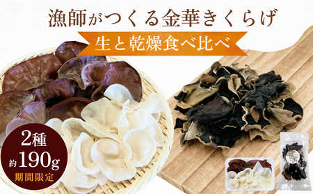 [ 期間限定 ]漁師がつくる金華きくらげ 生と乾燥食べ比べ 合計約190g 生きくらげ 乾燥きくらげ キクラゲ 木耳 きのこ 乾燥 国産 食物繊維 野菜