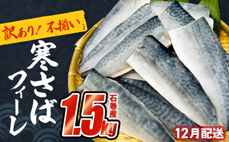 さば [ 訳あり ]12月配送 宮城県産 寒さば フィーレ 無塩 1.5kg 冷凍 魚 青魚 鯖 切身 焼魚 煮魚 わけあり 不揃い ご家庭用 食塩無添加 国産 鯖フィレ サバフィーレ 切り身 バラバラ冷凍 鯖の味噌味 宮城県 石巻市