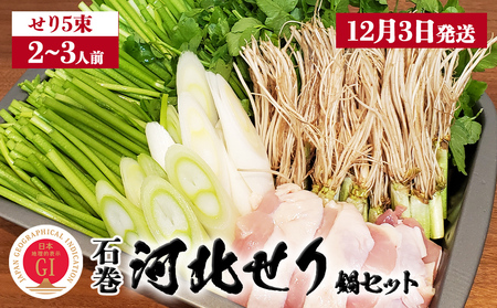 【12月3日発送】せり鍋 セット 2-3人前 せり 長ねぎ パックご飯 スープ 鶏肉 セリ セリ鍋 河北せり 野菜 鍋