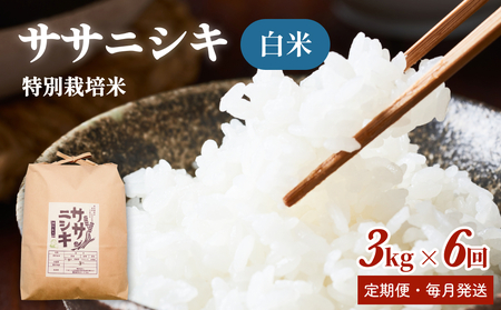 ʍ͔| TTjVL  3kg × 6  iv18kgj