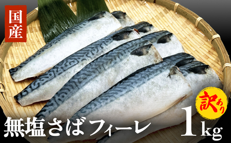 訳あり 無塩サバフィレ1.0kg(10枚前後) 冷凍 さば 鯖 不揃い 魚 お魚 焼き魚 煮魚 おかず お弁当 美味しい 簡単調理