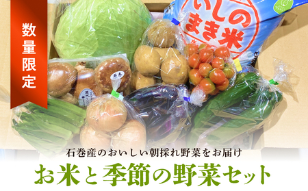 [数量限定]石巻産 お米と季節の野菜セット 朝採れ 旬の野菜 季節の野菜 お野菜 詰め合わせ 食材 新鮮