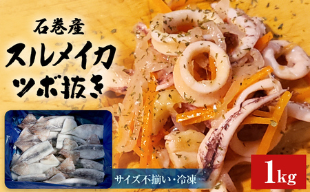 石巻市産スルメイカツボ抜き1kg 冷凍 国産 スルメイカ いか イカ おつまみ 魚介類 焼イカ バーベキュー BBQ 烏賊 炒め物 フライ 唐揚げ