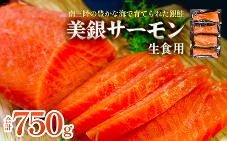 美銀サーモン(生食用)750g 冷凍 切り身 鮭 さけ サケ シャケ 銀鮭 お刺身 カルパッチョ おつまみ