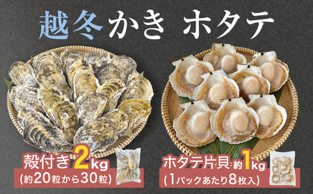 z^eЊL z~kt ґZbg Mp y  JL  z^e ق ЊL kt k L L CN   {錧Y VN }Ⓚ Z {錧 Ίs