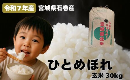 米 ひとめぼれ 玄米 30kg 令和7年産 新米 ヒトメボレ お米 ごはん ご飯 30キロ 産地直送 米処 美味しい おこめ こめ さっぱり
