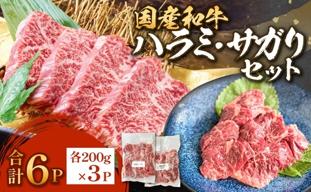 Ya n~ TK Zbg 6P Y a    ͂  {錧Y ē o[xL[ {錧 Ίs