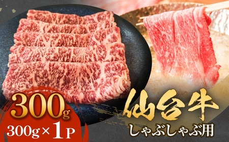 䋍 Ԃԗp 300g×1P [X    Ԃ Y {錧Y  {錧 Ίs