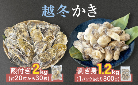 z~g z~kt Zbg Mp y  JL g ނg kt k L CN   {錧Y VN }Ⓚ Z {錧 Ίs