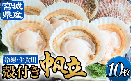 yⓀEHpz kt 10  z^e ق kt H Hp 