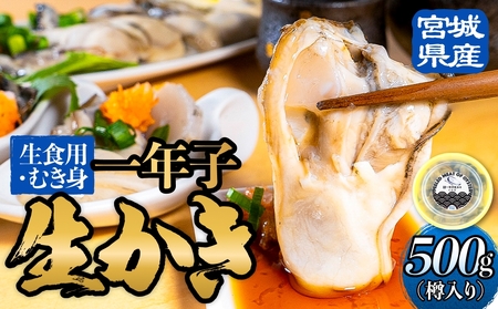 {錧Y Hpy NqJL ނg 500g  JL g y vv Z