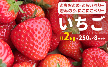 [2026年1月中旬発送開始] いちご ちおとめ 恋みのり にこにこベリー とらいべりー 250g × 8 苺 イチゴ フルーツ 果物 ストロベリー ベリー デザート 甘み 酸味 宮城県 石巻市