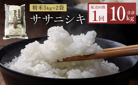 令和7年産 ササニシキ 精米 10kg(5kg×2)単品